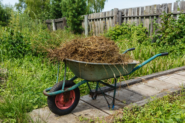 Similar image 21302856