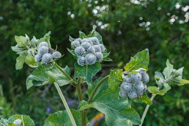 Similar image 21302859