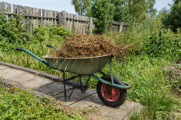 Similar image 21302860