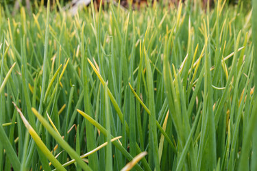 Similar image 21302868