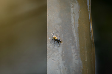 Similar image 21319465