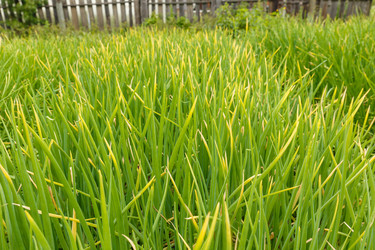 Similar image 21302872