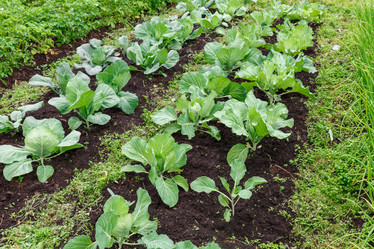 Similar image 21302876