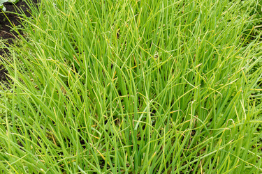 Similar image 21302881