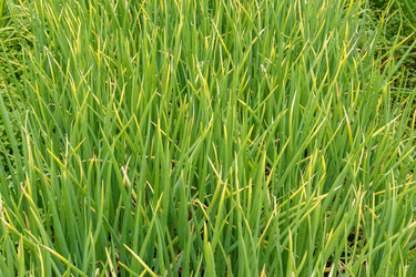 Similar image 21302885