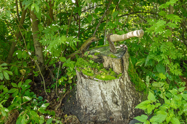 Similar image 21302893