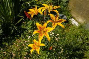 Similar image 21302901