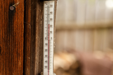 Similar image 21302902