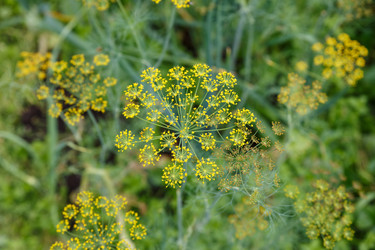 Similar image 21302910