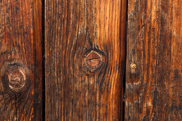 Similar image 21302911