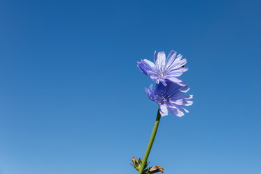 Similar image 21302912