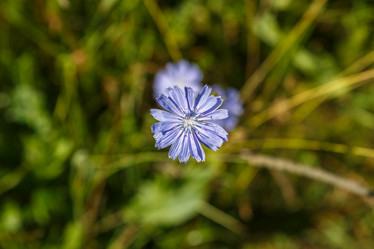 Similar image 21302913