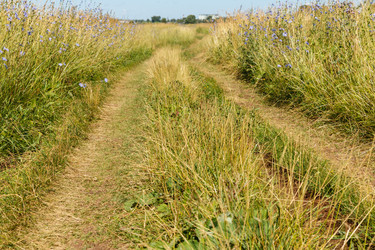 Similar image 21302914