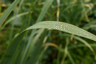 Similar image 21302915