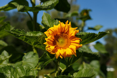 Similar image 21302920