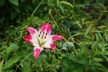 Similar image 21302921