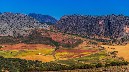 Similar image 21301819