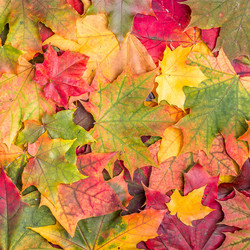 Similar image 21301863