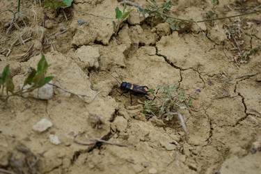 Similar image 21306736