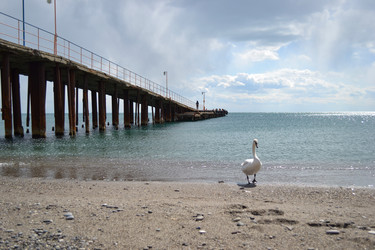 Similar image 21306739