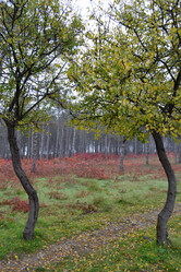 Similar image 21306740