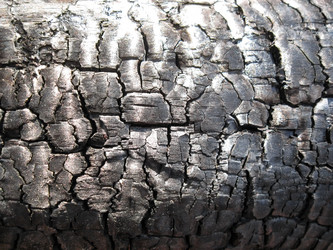 Similar image 21304375