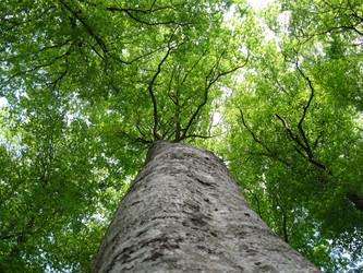 Similar image 21304377