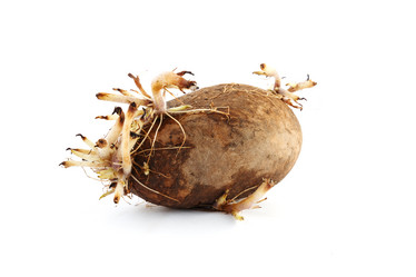 Similar image 21316727