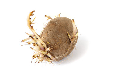 Similar image 21316848