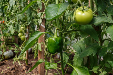 Similar image 21316849