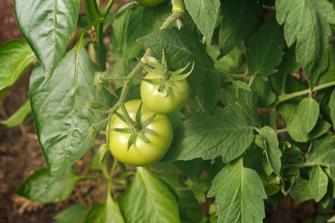 Similar image 21316855