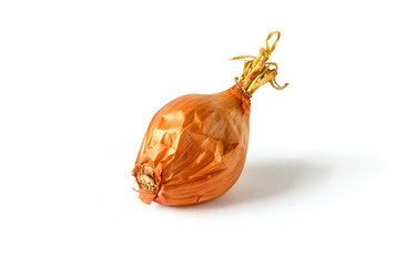 Similar image 21316869