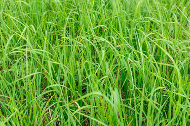 Similar image 21316885