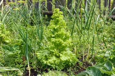 Similar image 21316890