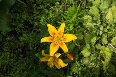 Similar image 21316891