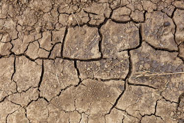 Similar image 21316912