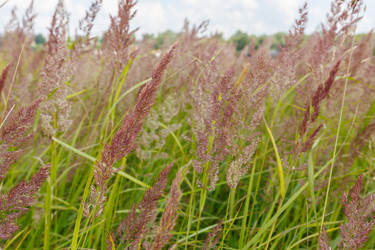 Similar image 21316913