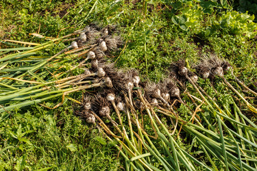 Similar image 21316917