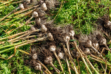 Similar image 21317048