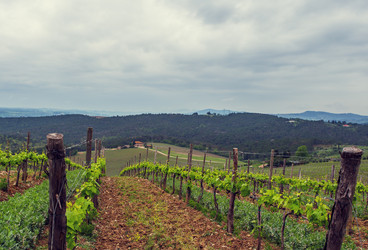 Similar image 21301489