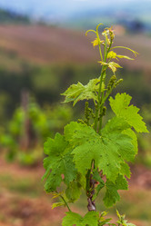 Similar image 21301498