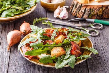 Similar image 21301160