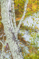 Similar image 21301527