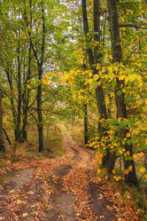 Similar image 21301530