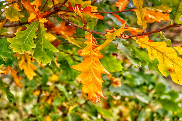 Similar image 21301532