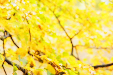 Similar image 21301533