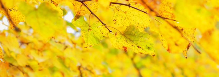 Similar image 21301534