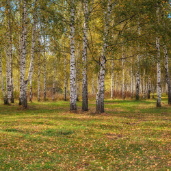 Similar image 21301536