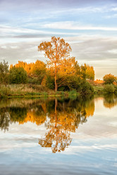 Similar image 21301541