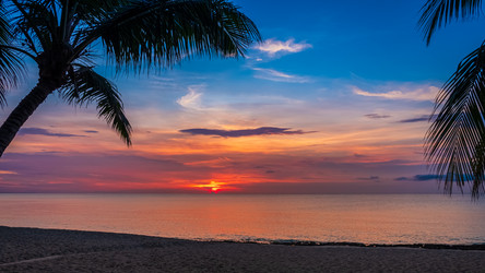 Similar image 21301951